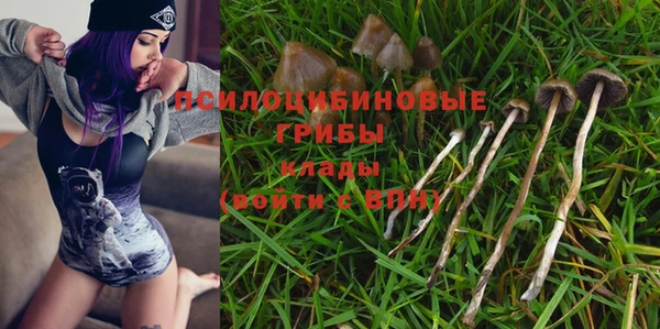 твердый Алзамай