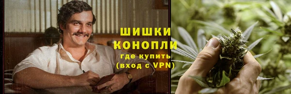 spice Алексин
