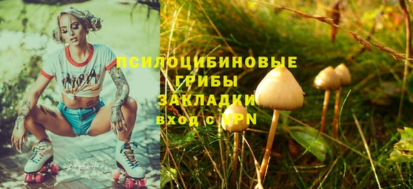 spice Алексин
