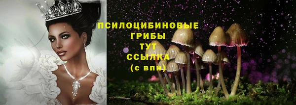spice Алексин