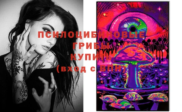 твердый Алзамай
