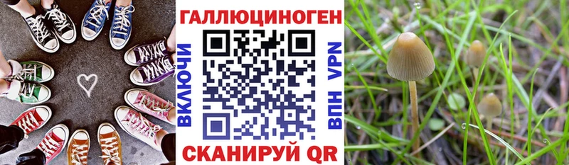 ОМГ ОМГ ссылки  Подольск  Псилоцибиновые грибы Magic Shrooms 