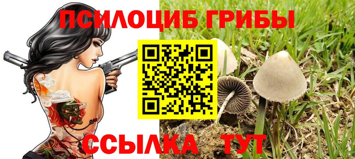 Подольск  Псилоцибиновые грибы GOLDEN TEACHER  Вход с VPN  Псилоцибиновые грибы мухоморы 