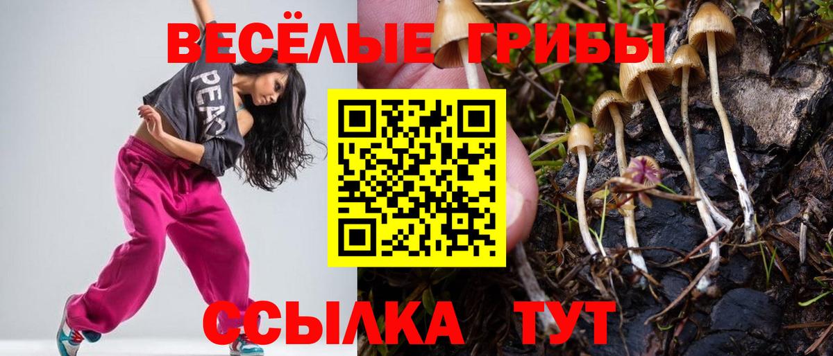 Псилоцибиновые грибы прущие грибы  Галлюциногенные грибы прущие грибы  Подольск  Вход с VPN 