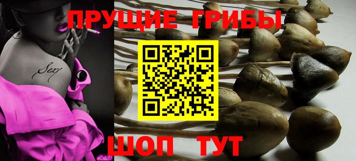 Псилоцибиновые грибы мухоморы Подольск